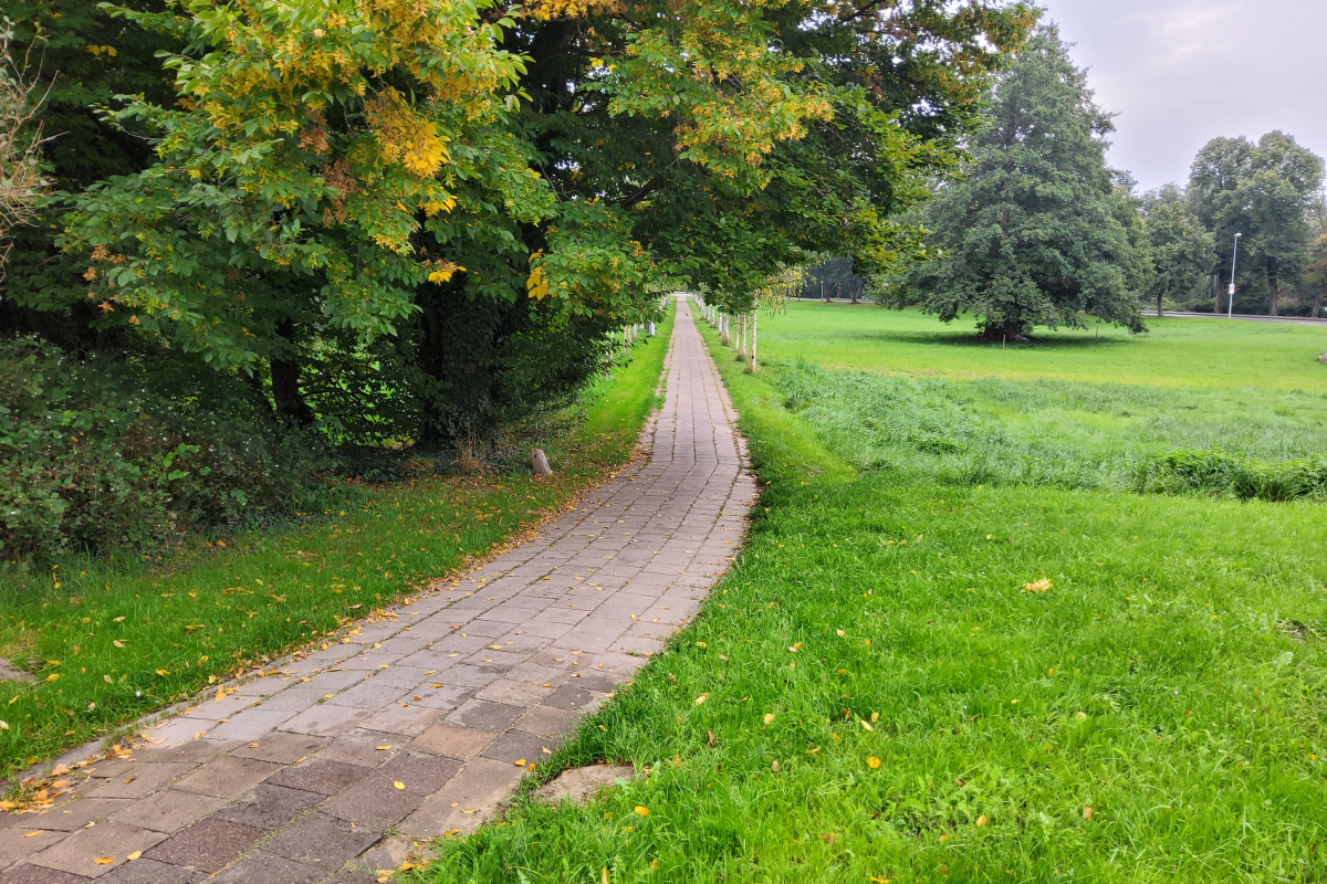 Pflasterarbeiten