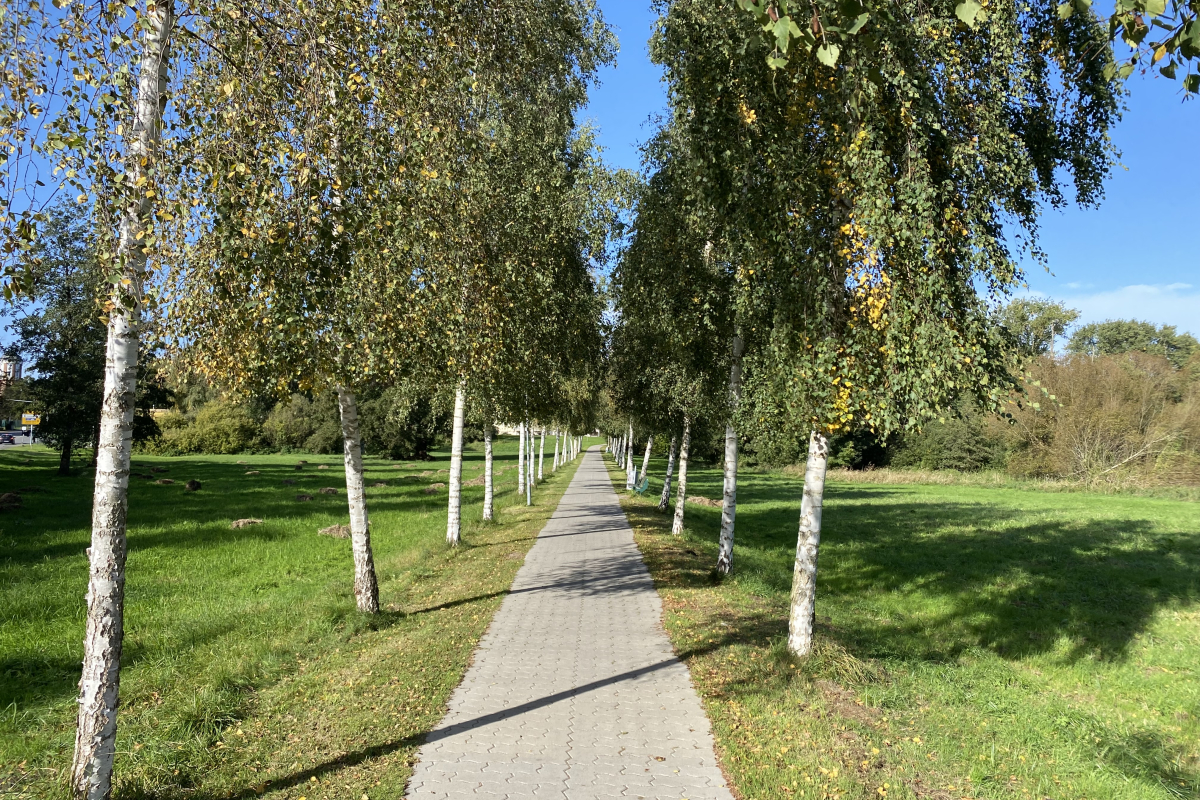 Wege